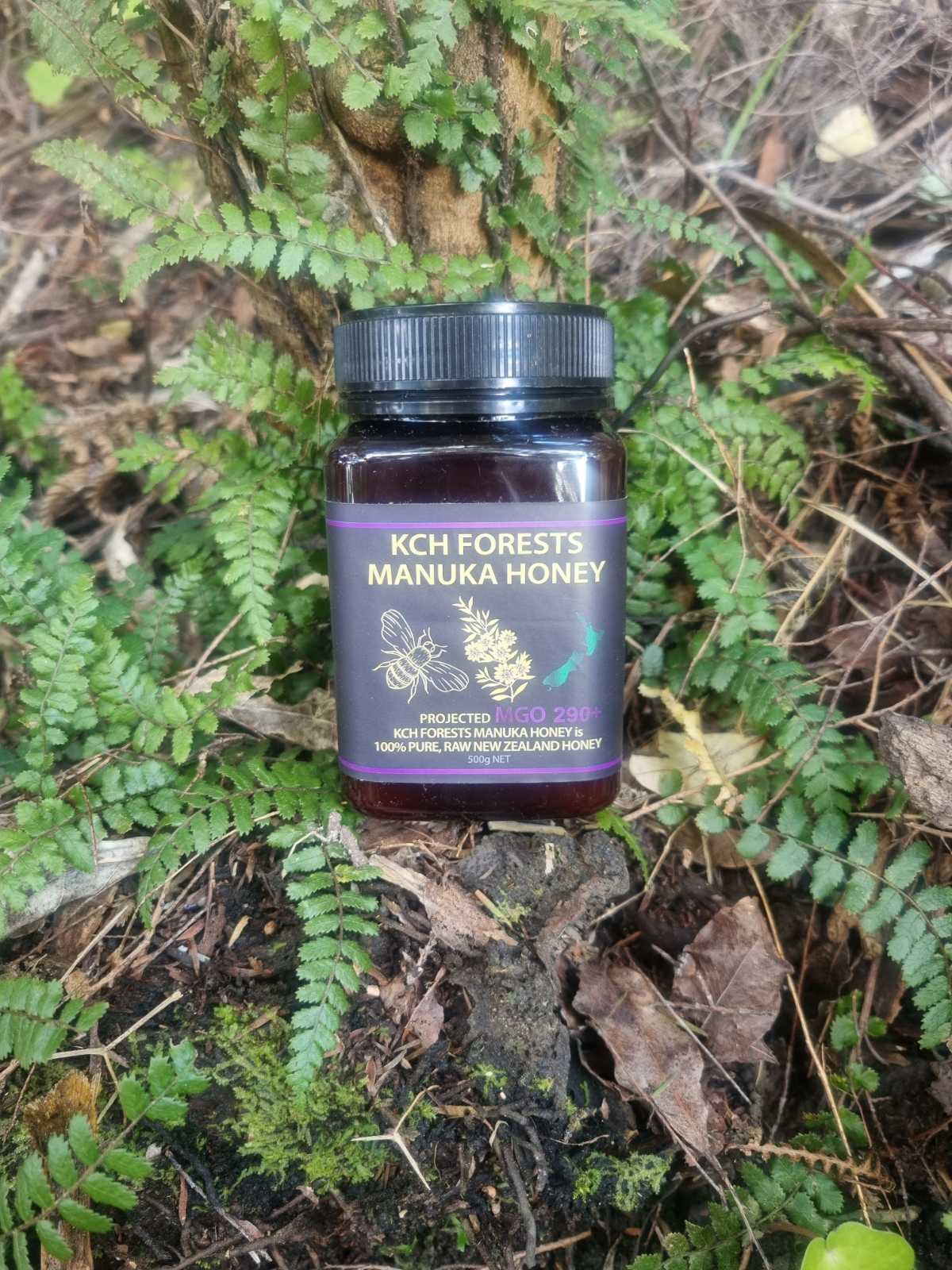 Manuka Honey MGO 290+